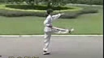 初级刀术完整视频,刀法基础入门与技巧解析